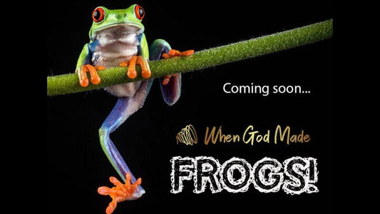 New Book Release: When God Made Frogs